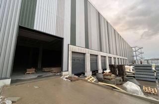 Gewerbeimmobilie mieten in 29614 Soltau, Distributionshalle Neubau-Erstbezug | Verfügbarkeit in 2026 | Provisionsfrei