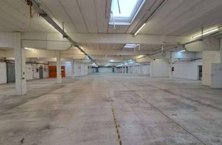 Gewerbeimmobilie mieten in 37574 Einbeck, Lager- und Produktionshallen mit praktischer Anbindung an die B3 und A7