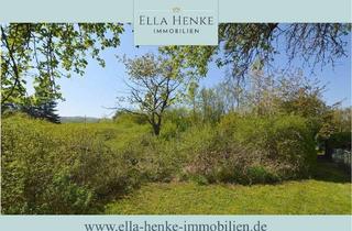 Grundstück zu kaufen in 38889 Wienrode, 4.900m² großes Baugrundstück (teilbar) in ruhiger Lage...