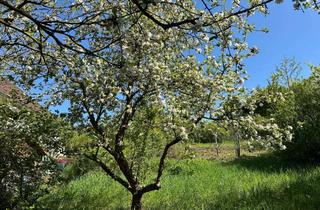 Grundstück zu kaufen in 07751 Kunitz, Idyllisches Gartengrundstück zur Selbstverwirklichung in Jena-Kuni