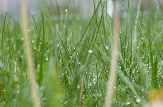 Immobilie kaufen in 84056 Rottenburg, Bieterverfahren!Verkauf einer landwirtschaftlichen Fläche Nähe Plunderdorf