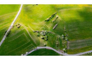 Gewerbeimmobilie kaufen in 74564 Crailsheim, Landwirtschaftsfläche "Schrankenäcker"
