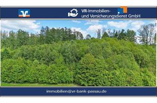Gewerbeimmobilie kaufen in 94139 Breitenberg, Ein Stück Natur mit vielseitigen Nutzungsmöglichkeiten - Waldgrundstück in 94139 Breitenberg