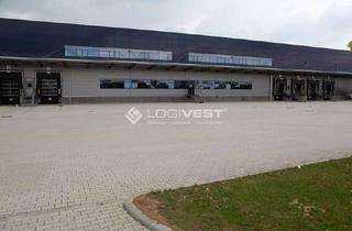 Gewerbeimmobilie mieten in 39171 Sülzetal, Gewerbeimmobilie ab sofort verfügbar