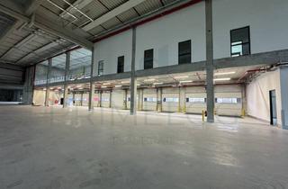Büro zu mieten in 63571 Gelnhausen, JETZT ANRUFEN | ca. 22.000 m² Lagerfläche | ca. 1.800 m² Büro | Kranbahn 24 t!