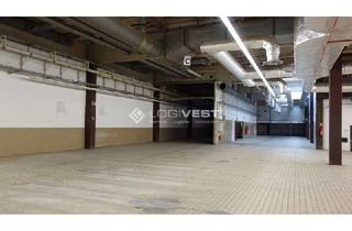 Gewerbeimmobilie mieten in 01587 Riesa, Kaltlagerhalle im Gewerbegebiet in Riesa