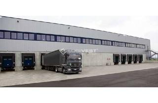 Gewerbeimmobilie mieten in 39221 Welsleben, Projektierter Neubau einer Lager- und Logistikhalle