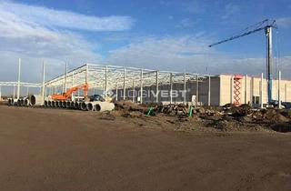 Gewerbeimmobilie mieten in 06792 Sandersdorf, Projektierter Gewerbeneubau einer Lager- und Logistikhalle nahe der A9