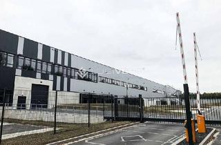 Gewerbeimmobilie mieten in 06780 Zörbig, Projektierter Neubau einer energieeffizienten Lager- und Logistikhalle nahe der A9