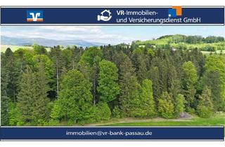 Gewerbeimmobilie kaufen in 94139 Breitenberg, "Natur erleben oder bewirtschaften"Forstwirtschaftliches Grundstück in 94139 Breitenberg