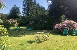 Gewerbeimmobilie kaufen in 38644 Goslar, Hotel in Bestlage Oberharz Hahnenklee