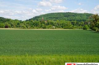 Haus kaufen in 31737 Rinteln, Rinteln - Gepflegter Resthof mit Stall, Scheune und Panoramablick über Wiesen und Felder