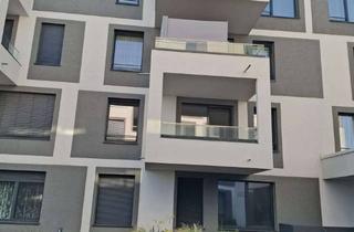 Wohnung mieten in 75175 Buckenberg, Tiergarten Pforzheim! 2 - Zimmerwohnung in Pforzheims beliebtester Wohngegend!