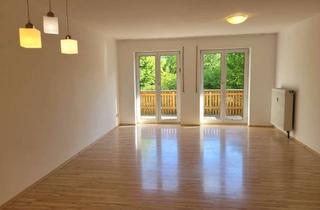 Wohnung mieten in Nikolausgraben 14, 97253 Gaukönigshofen, Neue Böden wurden velegt! Haustiere erlaubt! Garage, Sonnenbalkon & Gemeinschaftsgarten