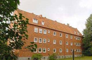 Wohnung mieten in Pommernweg 12, 21502 Geesthacht, Endlich Zuhause: ansprechende 2-Zimmer-Wohnung, frisch saniert