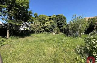 Einfamilienhaus kaufen in 68519 Viernheim, Sanierungsobjekt mit Potenzial – Einfamilienhaus & Tabakscheune auf 772m² großem Stadtgrundstück