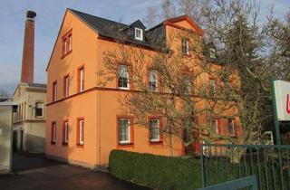 Haus kaufen in 09648 Altmittweida, Achtung 1/3 Miteigentumsanteil zu erwerben; Wohnen und produzieren in Altmittweida