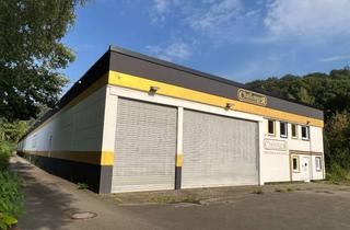 Gewerbeimmobilie kaufen in An Der Saline 20, 34385 Bad Karlshafen, Zwei vielseitig nutzbare Hallen mit Büro- und Aufenthaltsräumen zum Kauf in Bad Karlshafen
