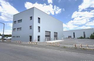 Büro zu mieten in 71069 Sindelfingen, Zweitbezug - Moderne Halle mit Büro und Freifläche