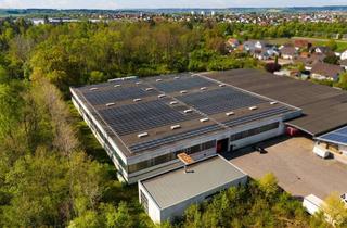 Gewerbeimmobilie mieten in 86462 Langweid, Zur Miete: große Lager- und Produktionshalle mit hoher Bodenlast in Langweid