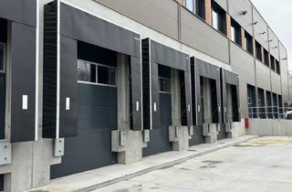Büro zu mieten in 63505 Langenselbold, JETZT BESICHTIGEN | Kranbahn 24 t! | ca. 22.000 m² Lagerfläche | ca. 1.800 m² Büro | teilbar
