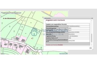 Grundstück zu kaufen in Liebfrauenberg 31, 55590 Meisenheim, großes Baugrundstück in Meisenheim