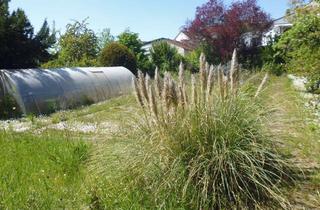 Grundstück zu kaufen in 55450 Langenlonsheim, Freies Baugrundstück in ruhiger Lage von Langenlonsheim