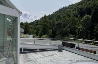 Wohnung mieten in 69250 Schönau, Vollständig renovierte 4-Zimmerwohnung mit Terrasse in Altneudorf