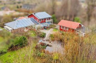 Haus kaufen in 24392 Brebel, Traumhaus mit Schwimmteich für Individualisten, Mehrgenerationenwohnen oder Freiberufler
