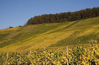 Haus mieten in 71404 Korb, Sie benötigen mehr Platz? 6,5 Zi., 2 Bäder, mit Blick auf die Weinberge