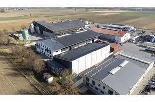 Gewerbeimmobilie kaufen in 85435 Erding, Großzügige Hallenfläche mit zusätzlicher Freifläche