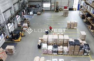 Gewerbeimmobilie mieten in 99869 Wandersleben, Logisitkhalle mit ca. 10.000 m² nahe Erfurt ab sofort verfügbar
