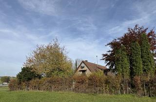 Einfamilienhaus kaufen in 74532 Ilshofen, Charmantes Haus in Alleinlage von Ilshofen! Mit großem Grundstück!