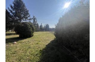 Einfamilienhaus kaufen in 03253 Tröbitz, Einfamilienhaus mit viel Platz