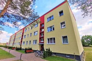 Mehrfamilienhaus kaufen in 14778 Golzow, Golzow - * Zukunftsweisendes Mehrfamilienhaus: Modernes und energetisch saniertes Wohnen in Golzow *