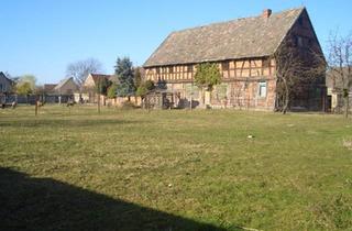 Bauernhaus kaufen in 38448 Wolfsburg, Wolfsburg - Bauernhof Resthof mit landw. Flächen MFH mit großem Grundstück