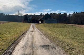 Bauernhaus kaufen in 88368 Bergatreute, Bergatreute - Traumhafte Alleinlage, Bauernhaus mit großer Scheune, Bauernhof