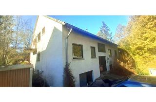 Einfamilienhaus kaufen in 65626 Fachingen, Fachingen - Wohnhaus teils energetisch saniert mit Einliegerwohnung 250 m2 Wohnfläche und Ausbaureserve