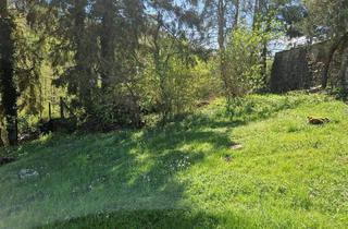 Einfamilienhaus kaufen in 61276 Weilrod, Weilrod - ++++EINFAMILIENHAUS MIT GROSSEM GARTEN UND SEPARATEM APARTMENT++++