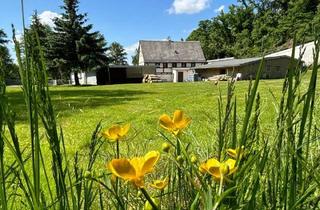 Bauernhaus kaufen in 04680 Zschadraß, Neubauernhaus am Wasserschloss