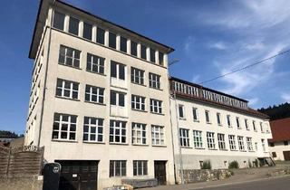 Haus kaufen in Ringstr., 72479 Straßberg, Ehemalige Strickwarenfabrik Böttcher – mit viel Entwicklungspotential – Wohnen & Arbeiten