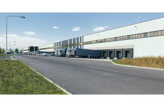 Gewerbeimmobilie mieten in 04509 Krostitz, 40.000 m² I Neubauentwicklung in Krostitz I nordöstlich von Leipzig