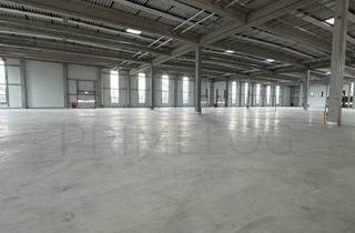 Büro zu mieten in 65474 Bischofsheim, JETZT ANRUFEN | ca. 4.100 qm Lager-/ Logistikfläche + ca. 360 m² Büro | Rampenandienung