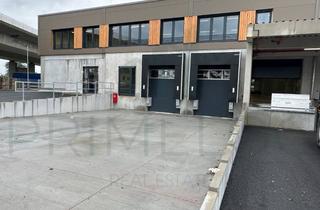 Büro zu mieten in 65462 Ginsheim-Gustavsburg, ca. 20.000 m² Lager-/ Logistikfläche + ca. 1.200 m² Büro | ebenerdig + Rampe | Q4 2026