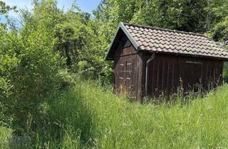 Grundstück zu kaufen in 73663 Berglen, Ruhiges Wochenendgrundstück für die Familie!