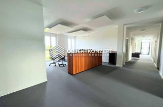 Büro zu mieten in 78554 Aldingen, Hochwertige, moderne und repräsentative Bürofläche in Aldingen