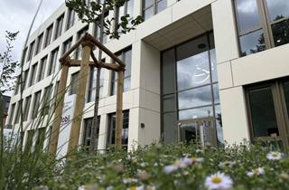 Büro zu mieten in Hafenstraße 8b, 29223 Celle, Moderne, lichtdurchflutete Bürofläche auf der Allerinsel in Celle