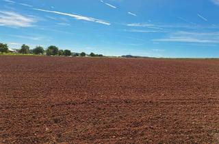 Immobilie kaufen in 54552 Dockweiler, 100 ha Acker- und Grünland in der Vulkaneifel - optional mit Hofstelle -