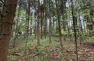 Gewerbeimmobilie kaufen in 94354 Haselbach, Kleines Waldgrundstück zwischen Haselbach und Mitterfels