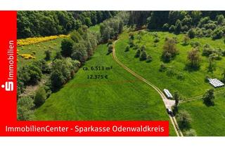 Gewerbeimmobilie kaufen in 64385 Reichelsheim, Private Tierhalter aufgepasst! Zwei attraktive Wiesen in Beerfurth Richtung Hutzwiese